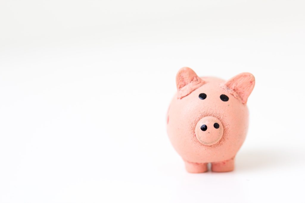 pink pig bank with white background